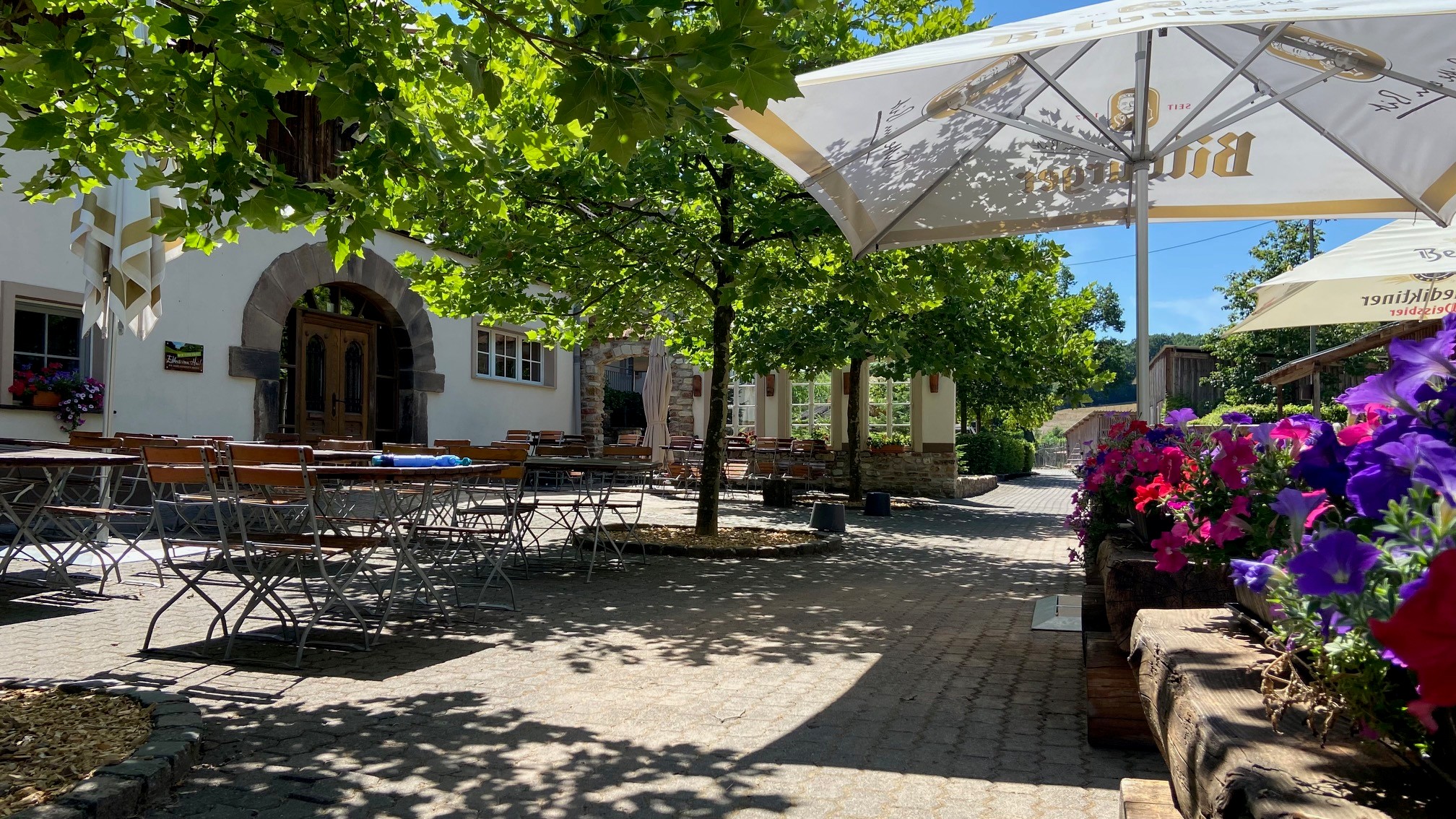 Platanengarten am Forsthof mit Biergarten unter den Platanen