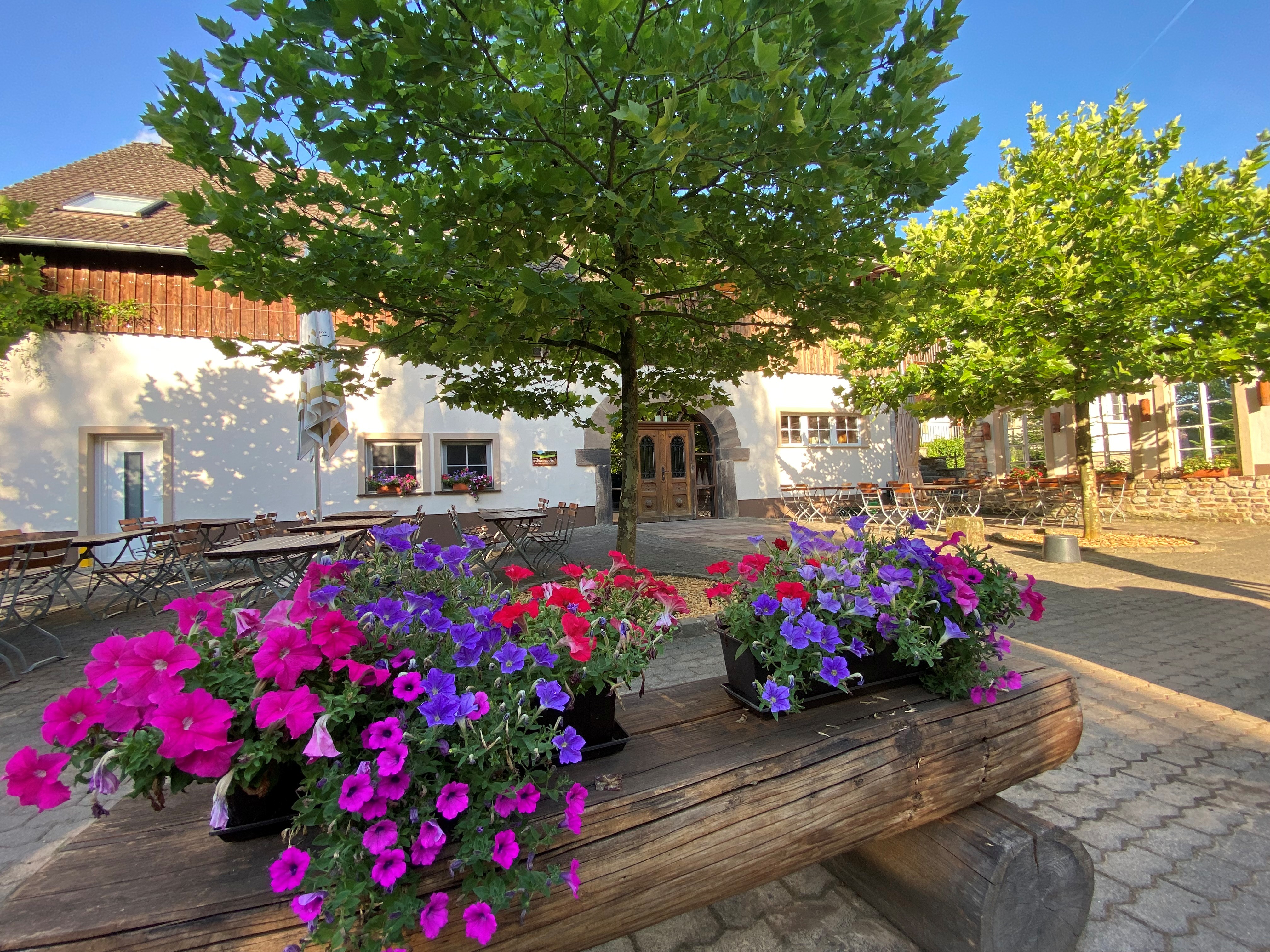 Der Forsthof mit Terrasse, Biergarten und bunten Blumen unter blauem Himmel