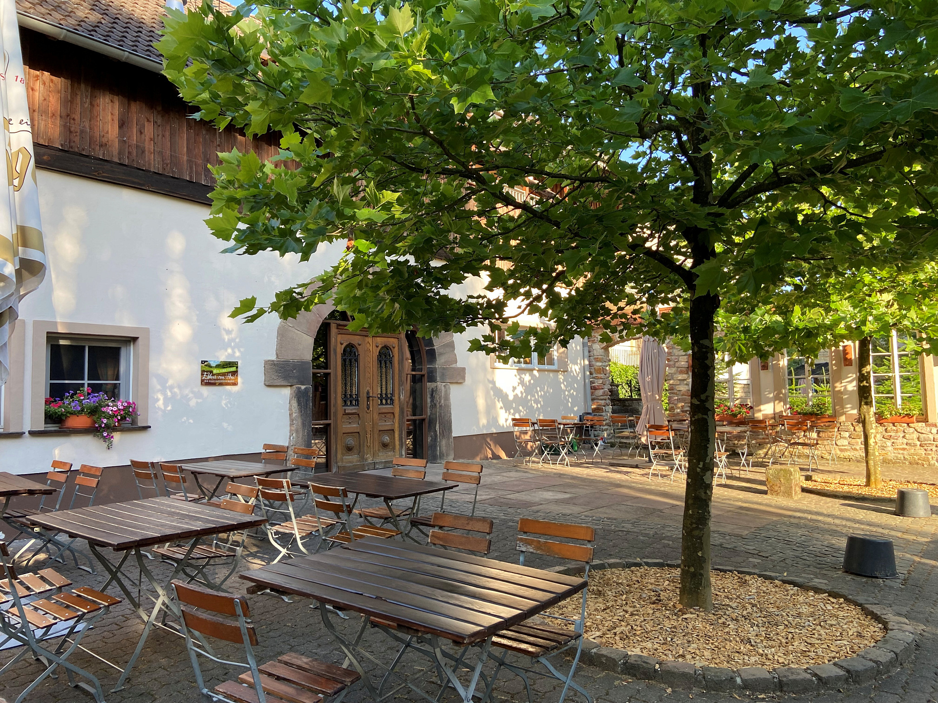Terrasse und Biergarten am Forsthof unter altem Baum